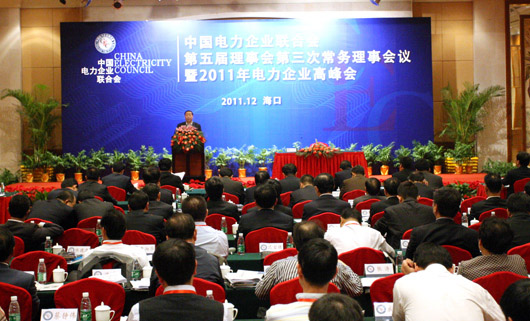 2011年电力企业高峰会召开